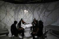 View the album The Swan Catchers